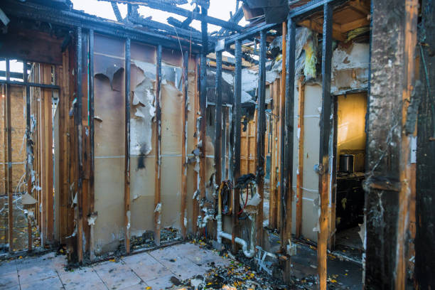 Professional Fire Damage Removal technician working in Peabody, KS